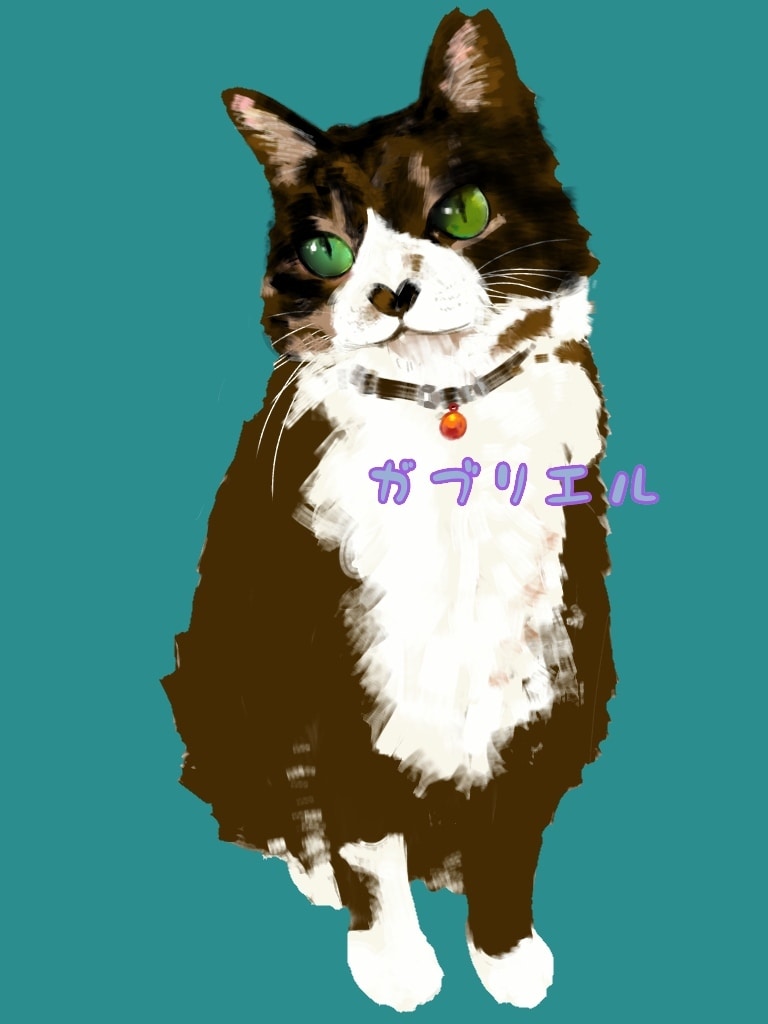 ペットのイラスト描きます ペットの新たな一面を見つけちゃいませんか？？ イメージ2