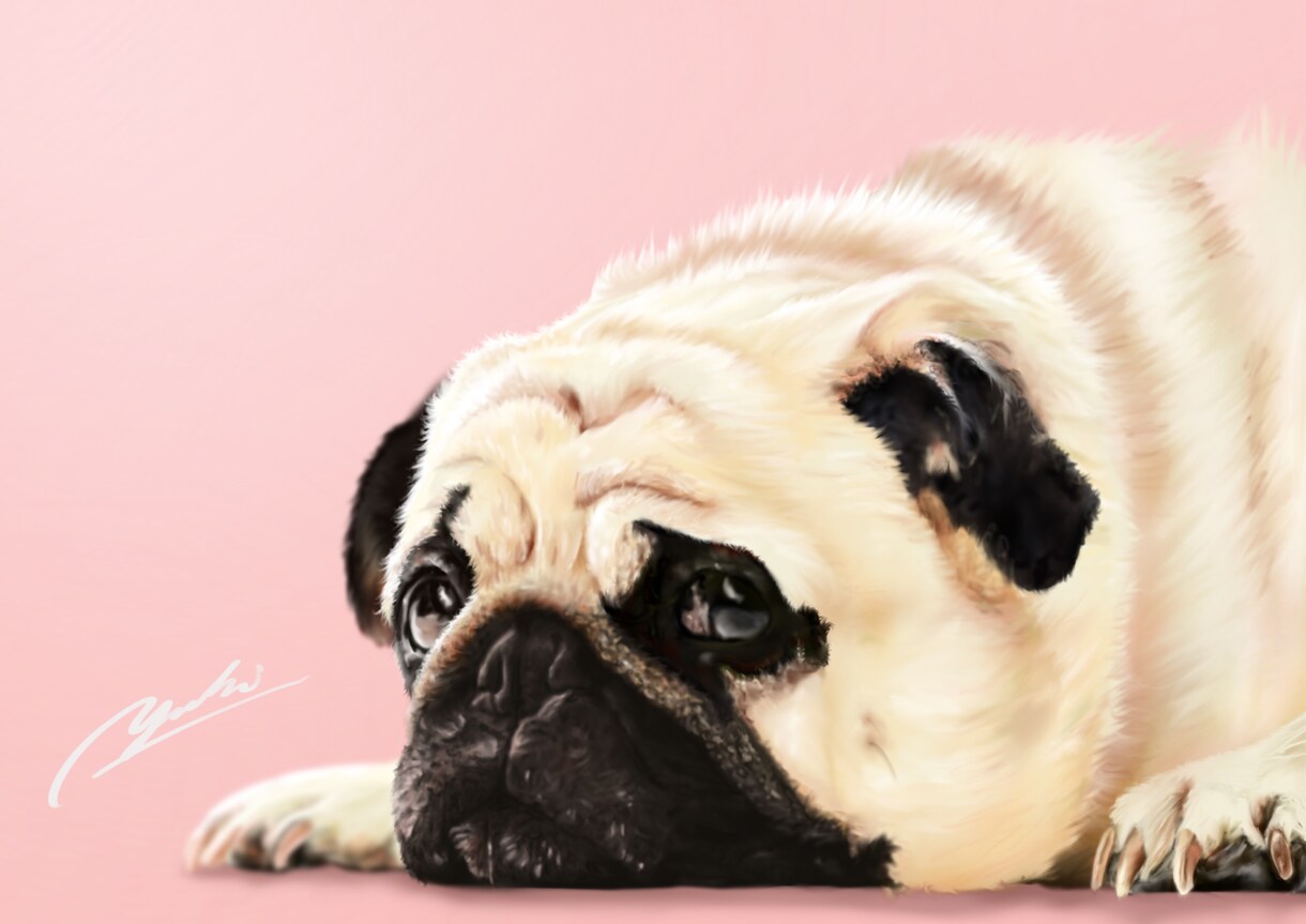 想いを乗せたイラストを描きます 飼い主さまの愛情をヒアリングし、イラストに生かします。 イメージ1