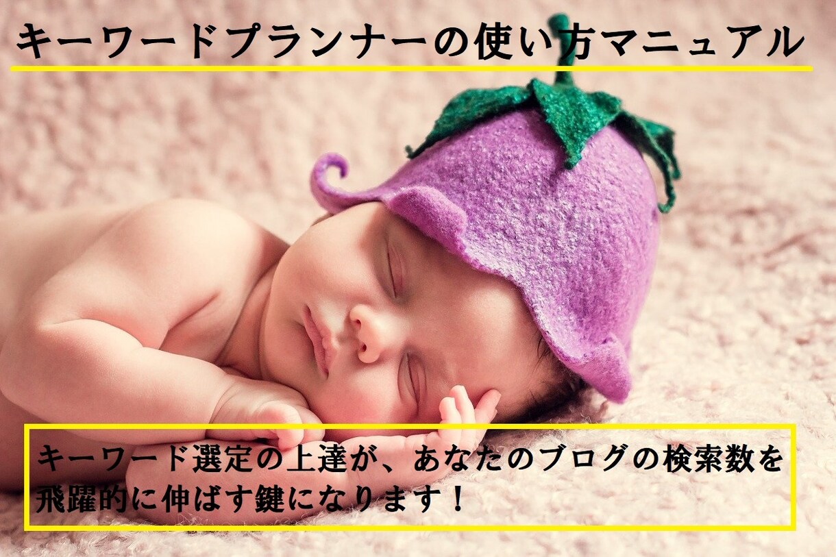 キーワードプランナーの使い方を教えます 内容：キーワードプランナーの使い方マニュアルをお渡しします イメージ1