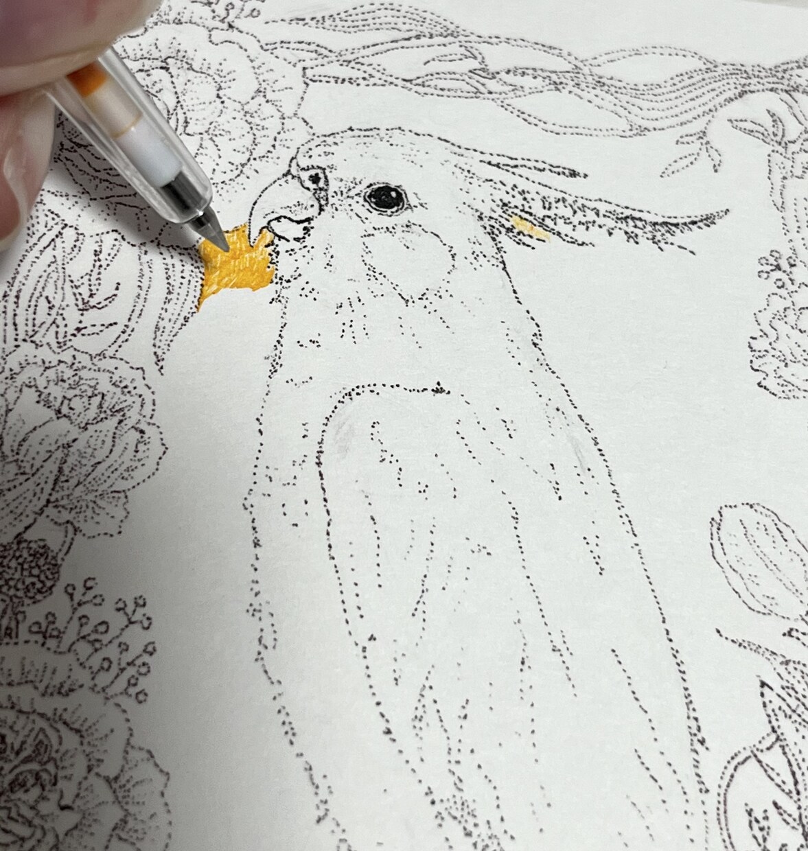 動植物の点描イラストを描きます ペン画で繊細な線と点の絵を描きます！ イメージ7