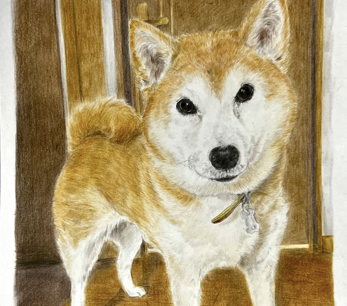 心を込めたペットの似顔絵描きます 大切な家族を色鉛筆で命を吹き込みます イメージ4