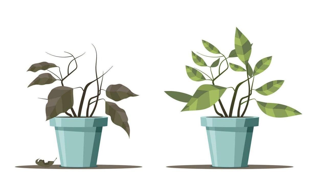 写真1枚でOK！お庭・ベランダの植栽を診断します 植物の“お困りごと”『モヤモヤ』【悩み】を診断します。 イメージ3
