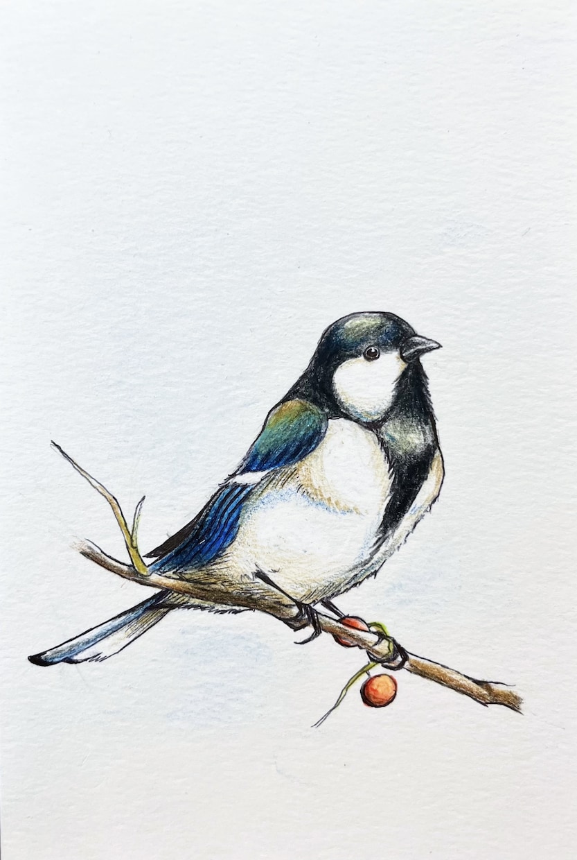 原画郵送✳︎動物を透明水彩や色鉛筆で描きます お好きな動物や愛するペットなど何でも描きます！ イメージ5