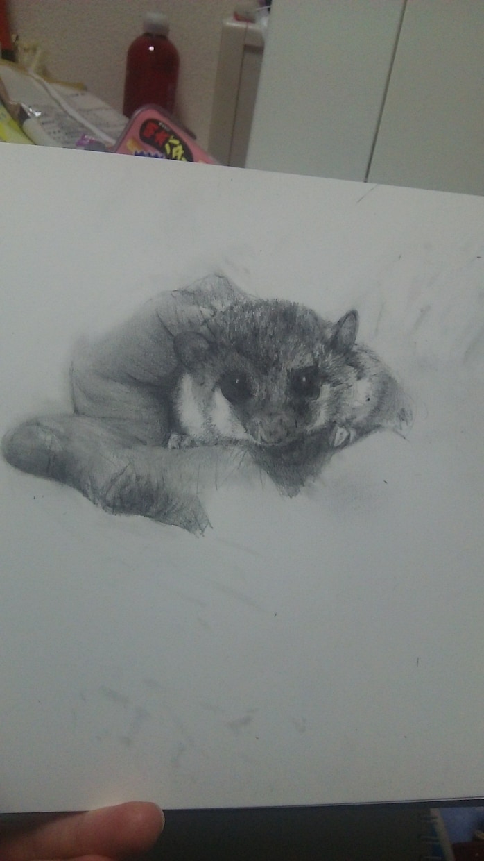 ペットの似顔絵など描きます。ます 動物の似顔絵など描きます。キャラクターデザインなども承ります イメージ3