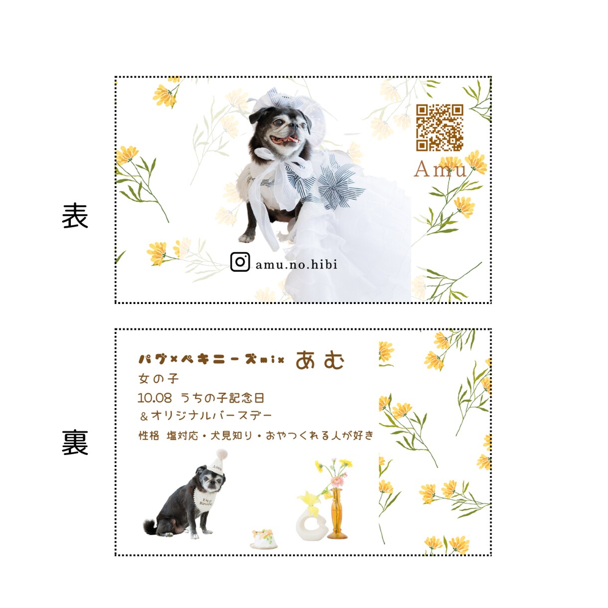 ミモザ背景で華やかな『うちの子名刺』を作成します この季節のペットイベントやお散歩中の交流にぴったり！ イメージ3
