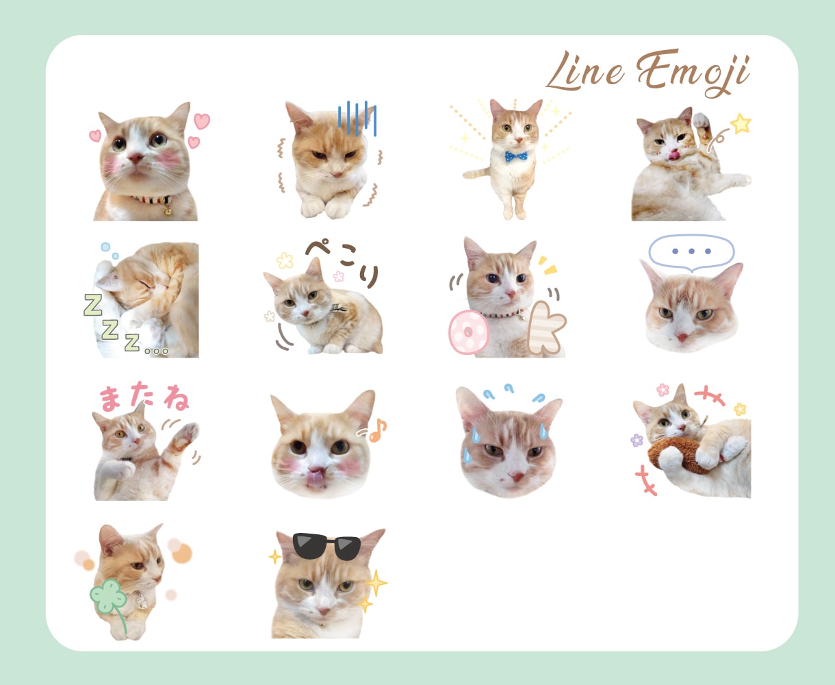 写真を使ったLINE絵文字【40個】で作ります 大切なペットのお写真を可愛くアレンジして絵文字にします！ イメージ5
