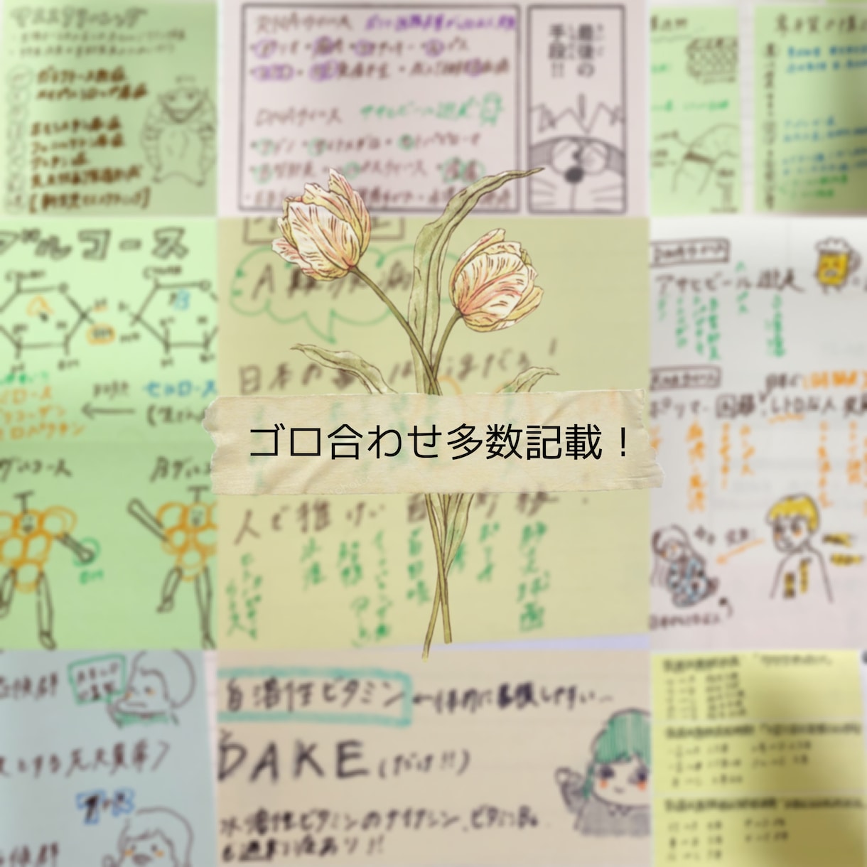 現役DH作成！国試対策まとめノートをお届けします 勉強の時短に！語呂合わせも多数記載しています^_^ イメージ3