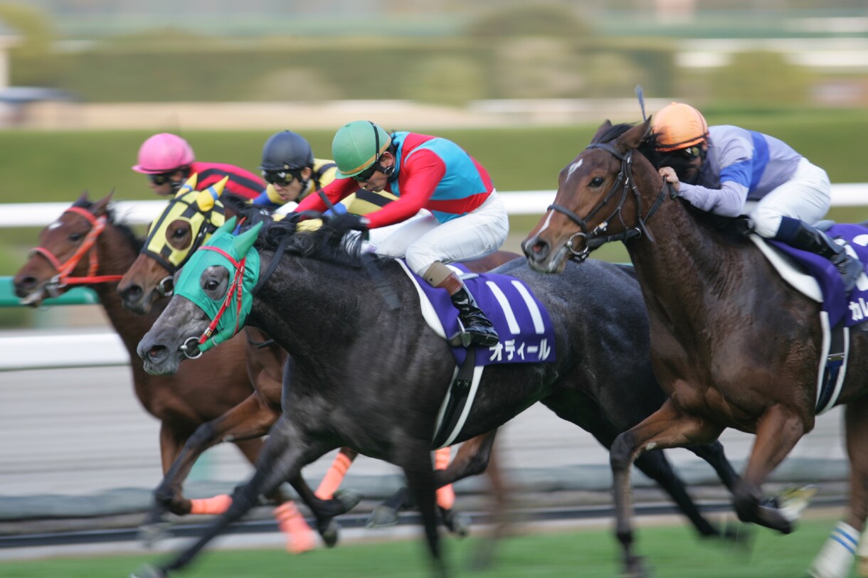 高知競馬予想☆小頭数で的中目指します 人気に左右されない予想☆12/31までの特別価格！！ イメージ1