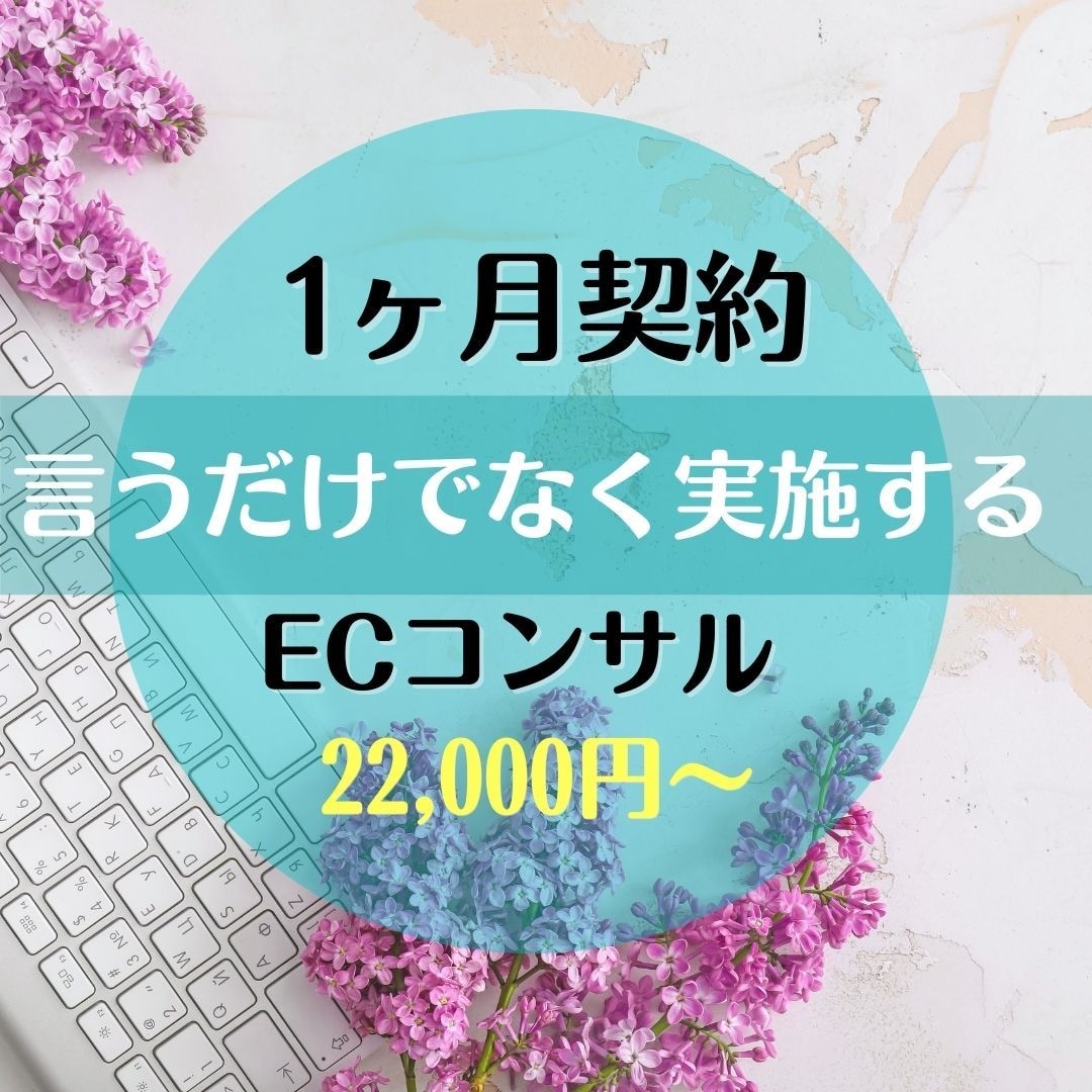 ECサイト月額コンサル＆改善施策を実施します 言うだけでなく施策実施まで。サイト分析しながら実施します！ イメージ1