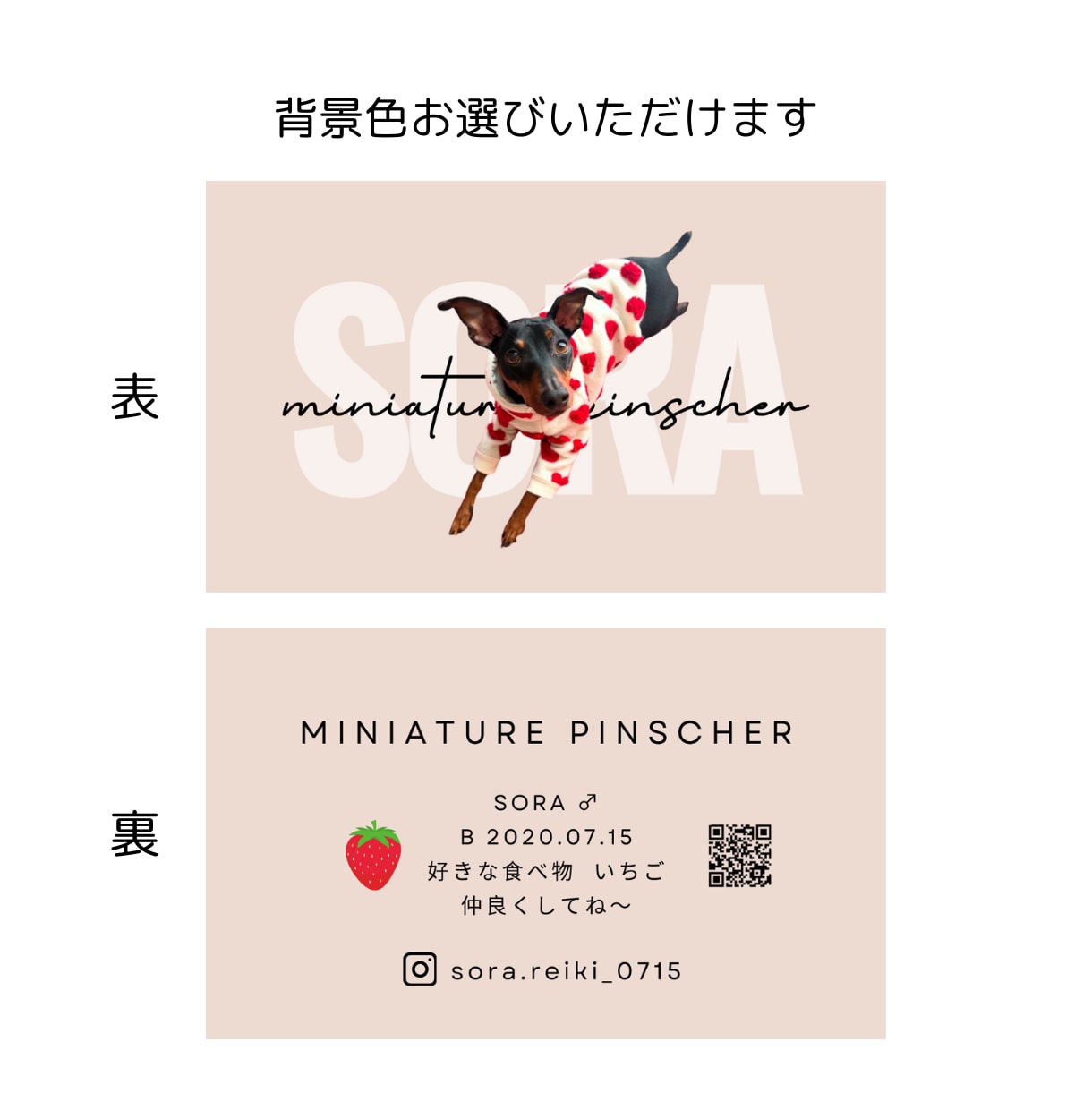 カラーが選べる『うちの子名刺』を作成します カラフルな名刺でペットイベントやお散歩中の交流にぴったり！ イメージ3