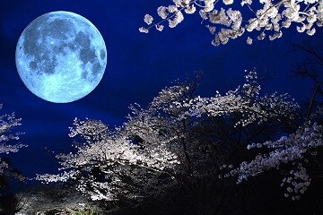 あなたの心が楽になります お悩み、心理、占い、ご相談下さい。 イメージ1