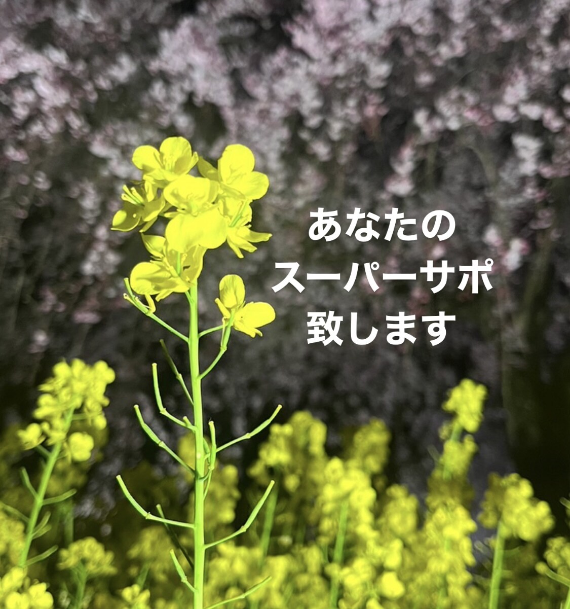 あなたと♡はとや♡心の中キラキラ☆お守りになります モヤモヤ→スッキリへ♡あなたの心のお守り♡心Open イメージ1