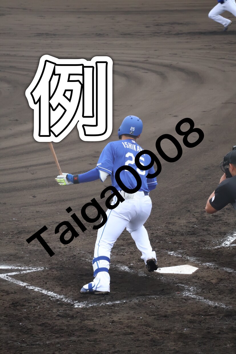 プロ野球選手の選手の写真撮影代行致します 鳴尾浜球場舞洲バファローズスタジアムにて写真を撮りに行きます イメージ3