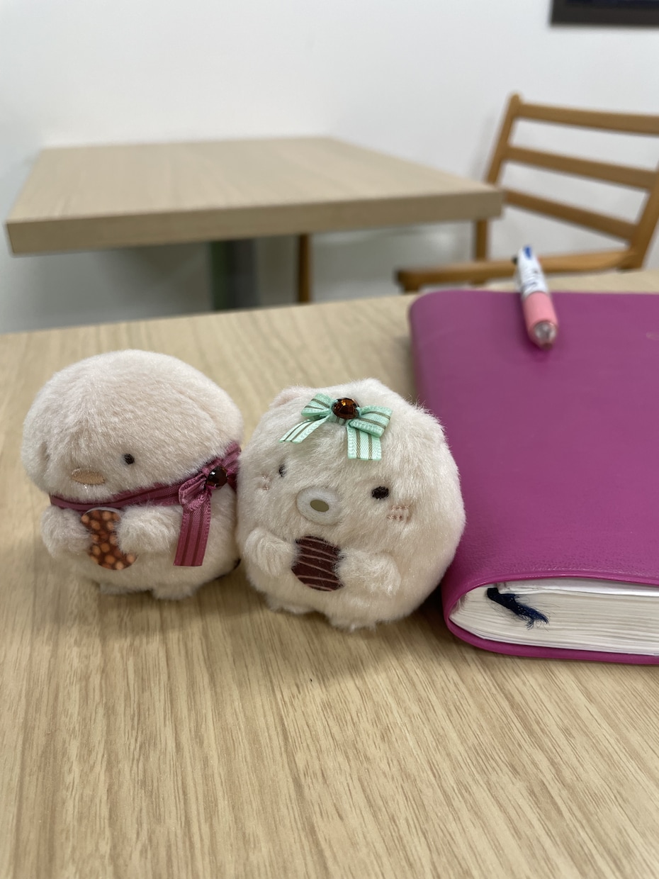 あなたのぬい活応援します あなたのぬい活の自慢を3日間してください イメージ2