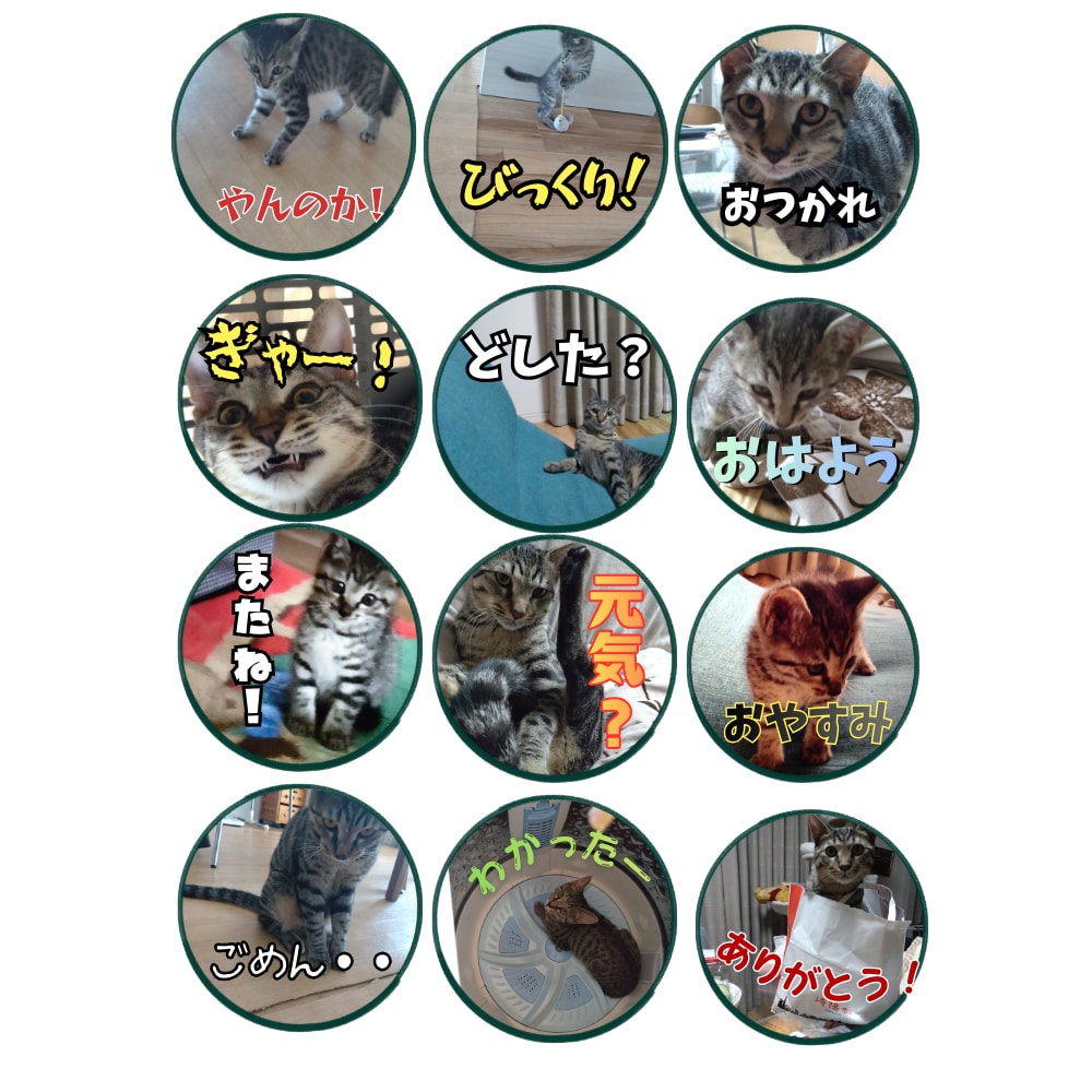 世界に1つのオリジナルシールをデザインします ☆写真から可愛いシールデザイン！ イメージ2