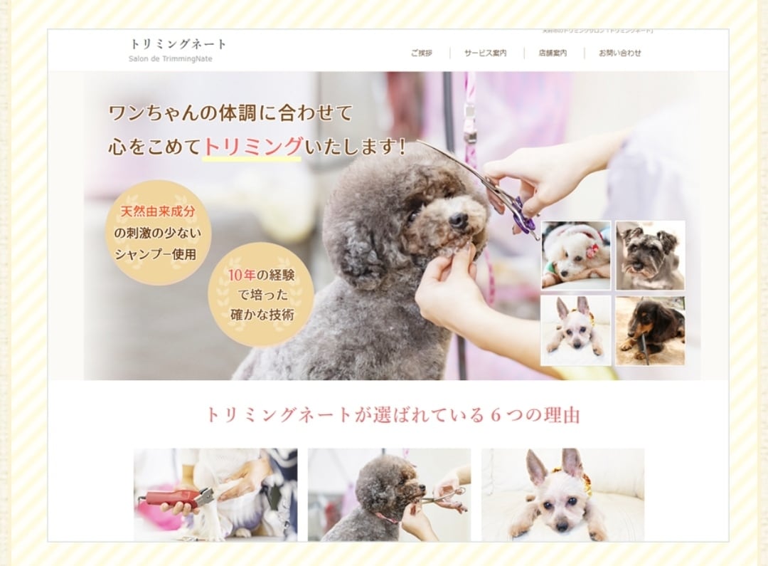 高品質★集客用ホームページ制作致します 女性、男性の両目線で集客しやすいホームページ作成します！ イメージ2