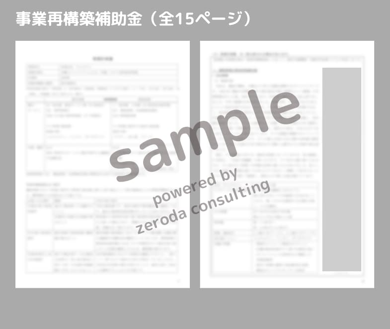 補助金の事業計画書を作成支援します ＜補助金審査経験有/中小企業診断士/現役銀行員がお手伝い！＞ イメージ2