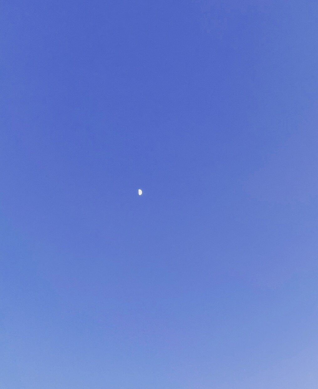 自然を感じられる写真を撮ります 幸せが広がる、笑顔があふれる気持ちになりますように イメージ5