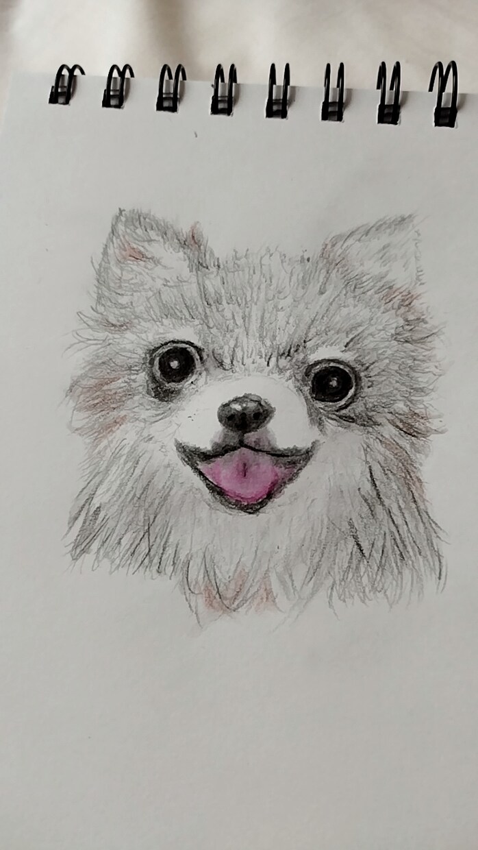 ワンちゃんのイラストを水彩色鉛筆で描きます 一点一点、気持ちを込めて描きます。 イメージ5