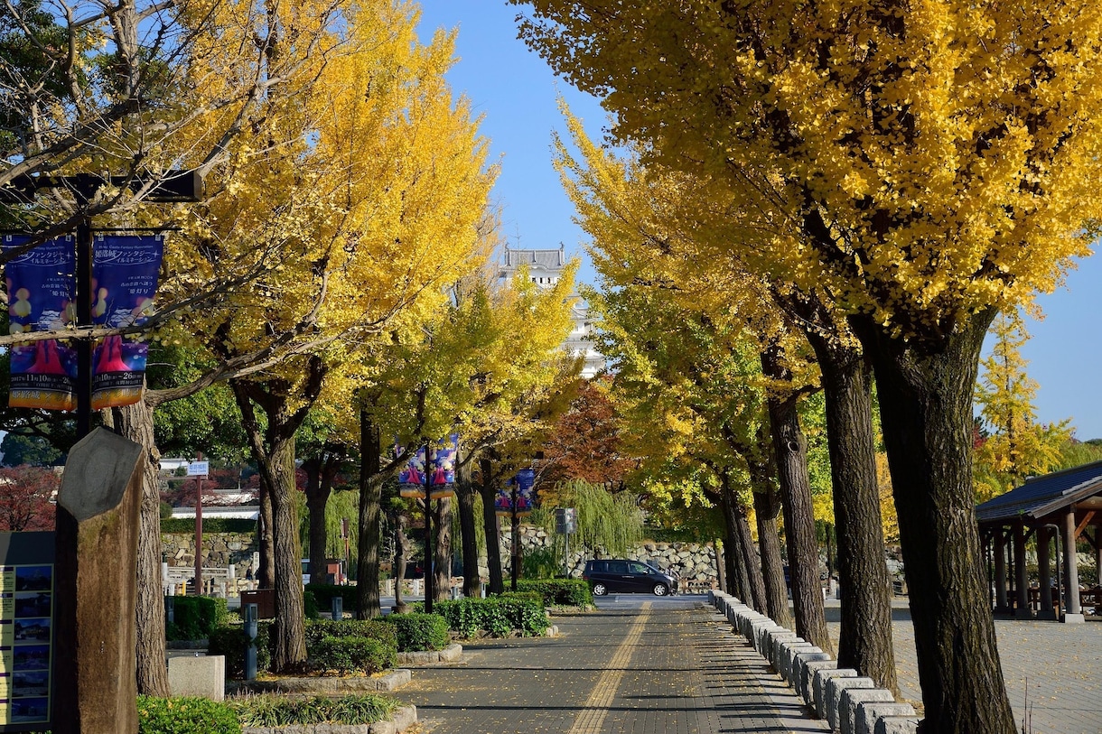 11月の運気を占います 次に来る流れには〇〇をして〇〇には要注意! イメージ2