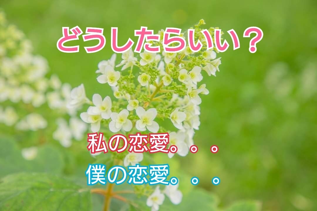 あなたの恋愛傾向と特性から悩みを解決します 話して、心をリセットして、次のステップへ進みましょう。 イメージ1