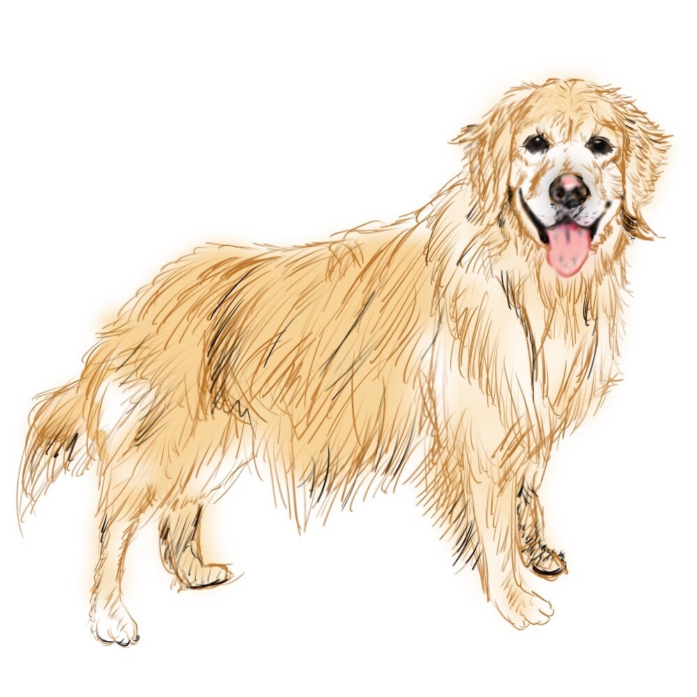 イラストや似顔絵(ペットの似顔絵も)を承ります プレゼントの似顔絵や年賀状などのイラストとしてご利用ください イメージ4