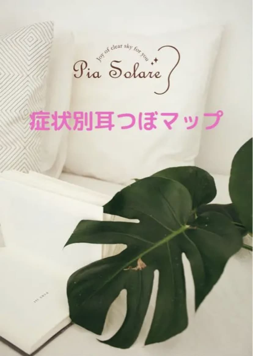 あると便利！27症状別耳つぼマップ教えます 耳つぼで自律神経などのあらゆる症状を緩和！ イメージ2