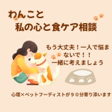 わんこの食ケア相談ペットフーディストが寄り添います 食べない・元気がない・犬のごはんと心に寄り添うオンライン相談 イメージ1