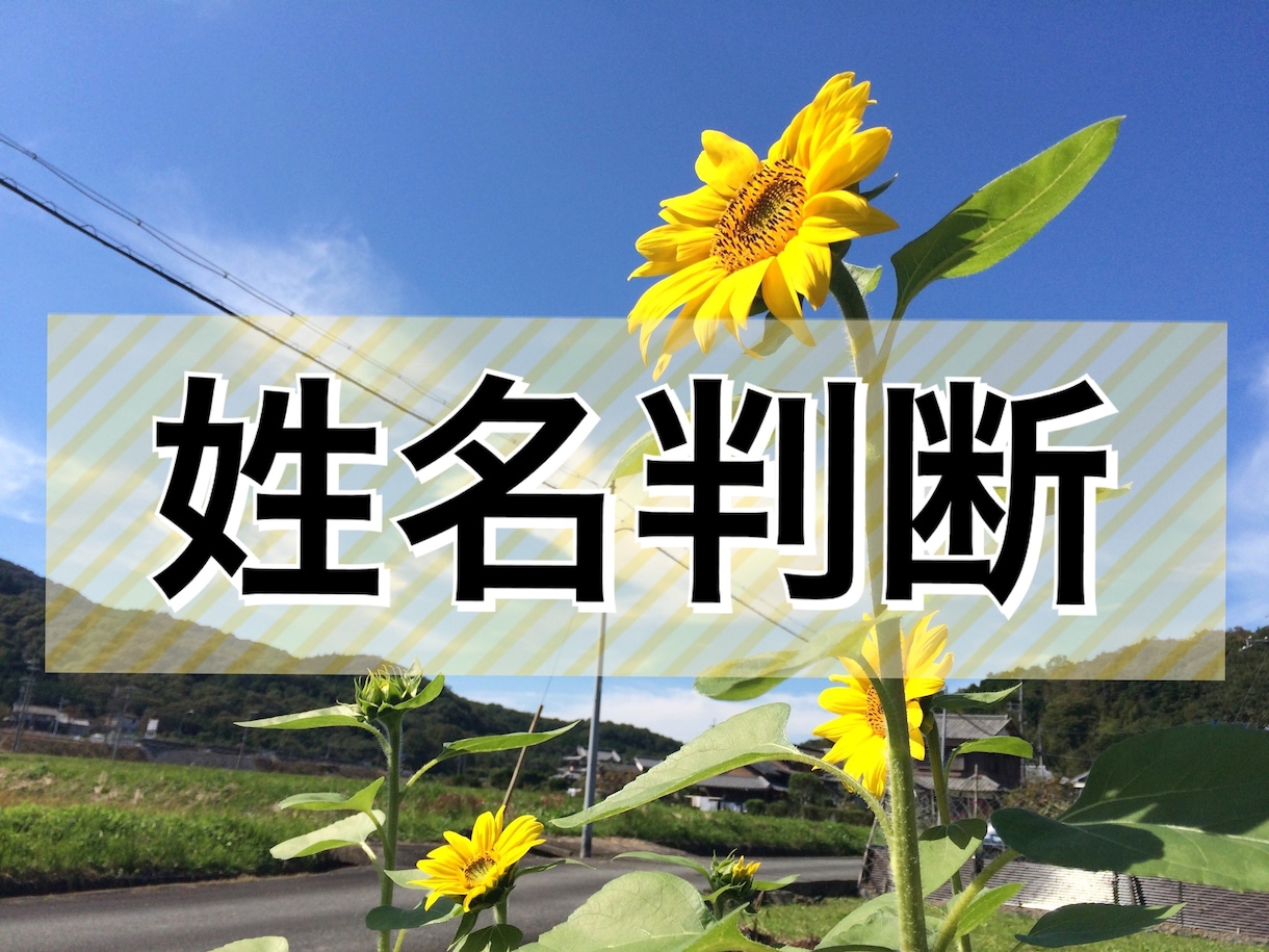 姓名判断で貴方の運勢を占います 名前に秘められた貴方の運命を読み解きます イメージ1
