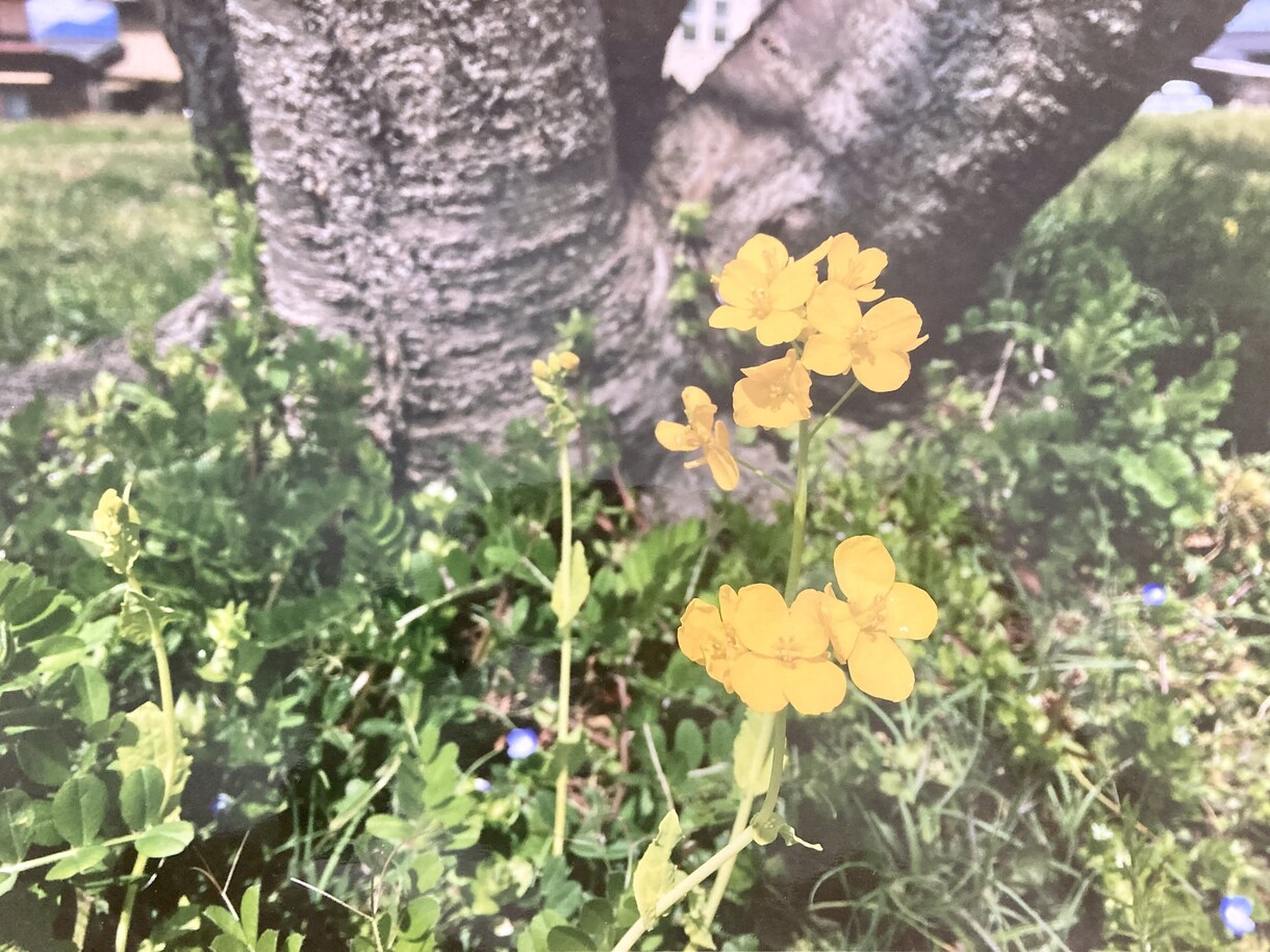 大人になってもほめてほしい✨承認欲求を満たします 仕事/人間関係/ストレス/愚痴/雑談/HSP/ありのまま イメージ9