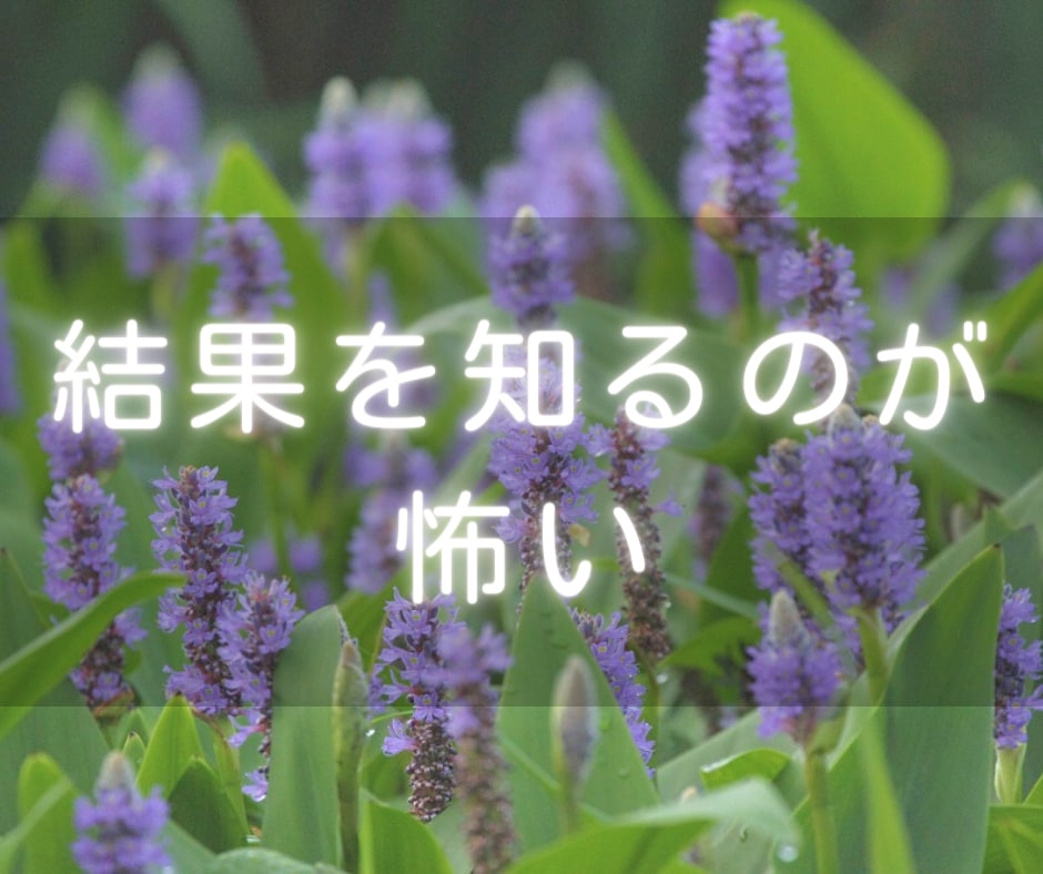 羊水検査を受けた経験があります 羊水検査を受ける決断が出来ず、話し相手が欲しい方へ イメージ4