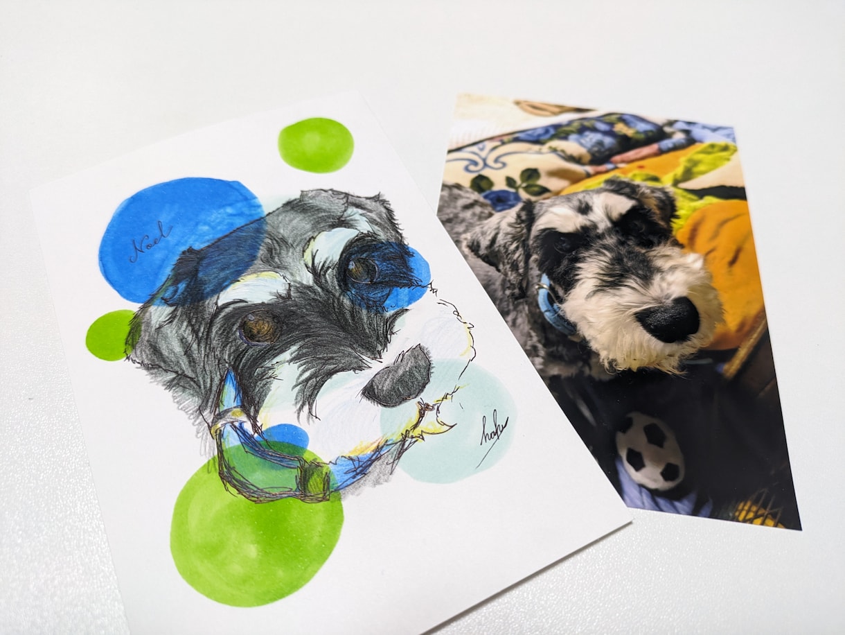 おうちの子を優しい雰囲気のイラストでお描きします 似顔絵・メモリアルギフトにも。 イメージ9