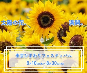 バナー/ ヘッダー/ SNSデザイン作成します 見た人の目を引く効果的なバナーをご提案！ イメージ7
