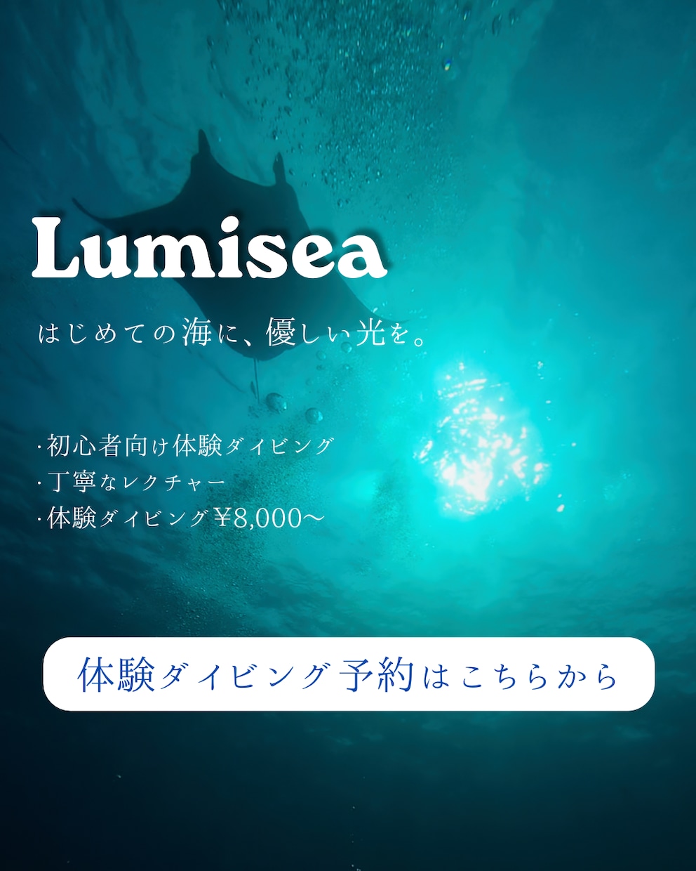 ダイビング、海系に特化したデザイン作成します ダイビングショップに所属しているからこその視点で対応します イメージ1