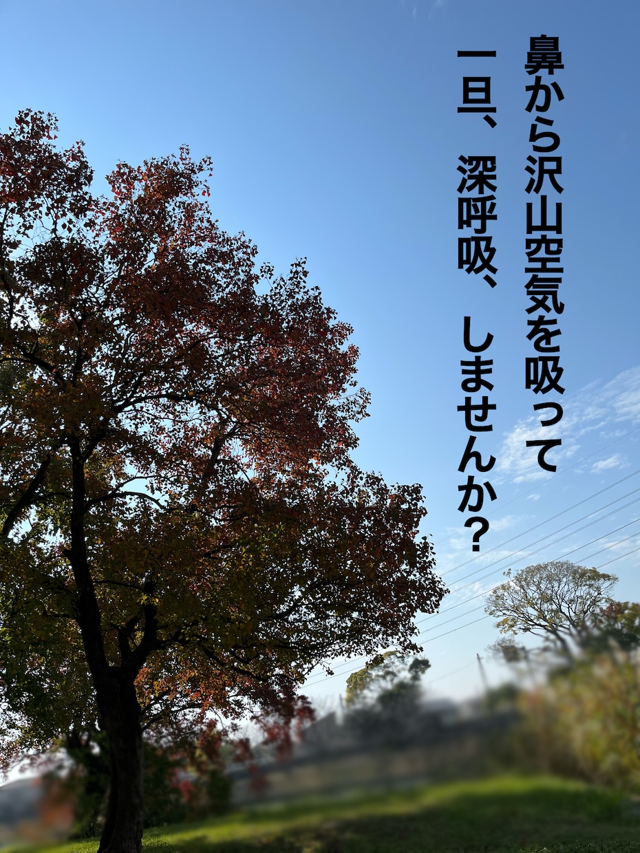 誰かに聴いてほしいその気持ち、第六感で汲み取ります 相手が思っている事が声色や電話越しの雰囲気でわかってしまう。 イメージ2
