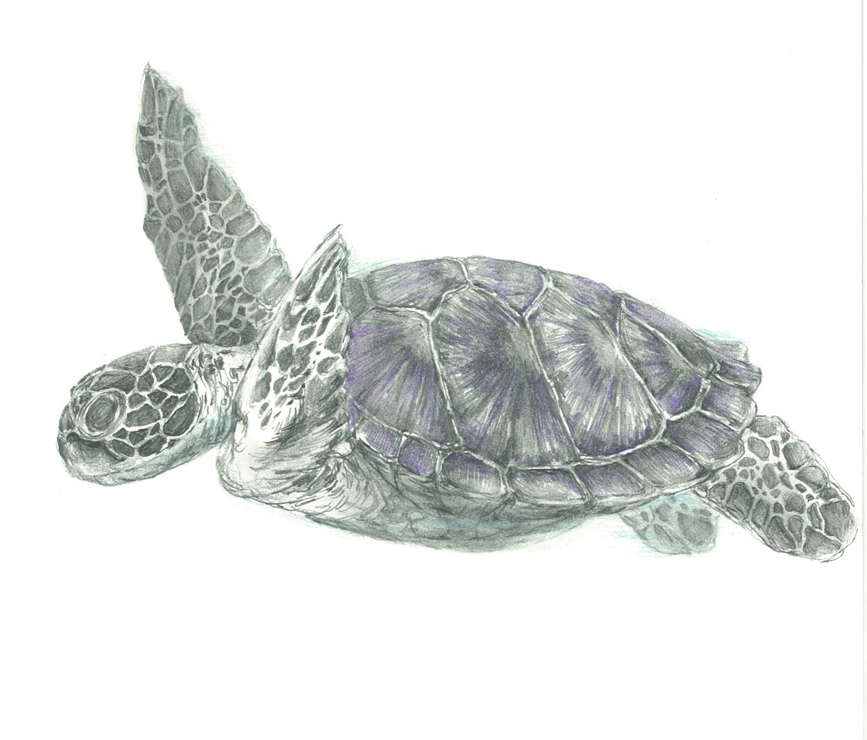 動植物・抽象模様の挿絵やイラストを描きます プロアーティストがあなたにお洒落に目を引くイラストを描きます イメージ4