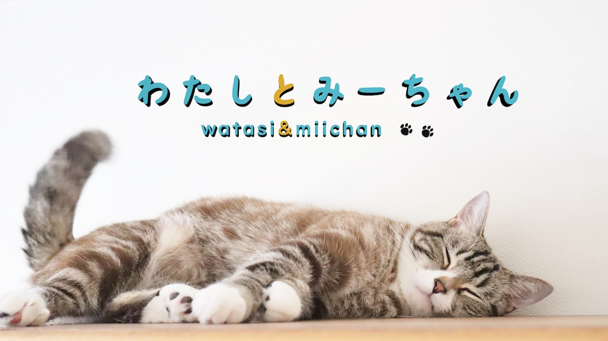 イメージに沿ったペットムービーお届けします 参考ムービーなどのイメージに合わせてオーダーメイド イメージ1