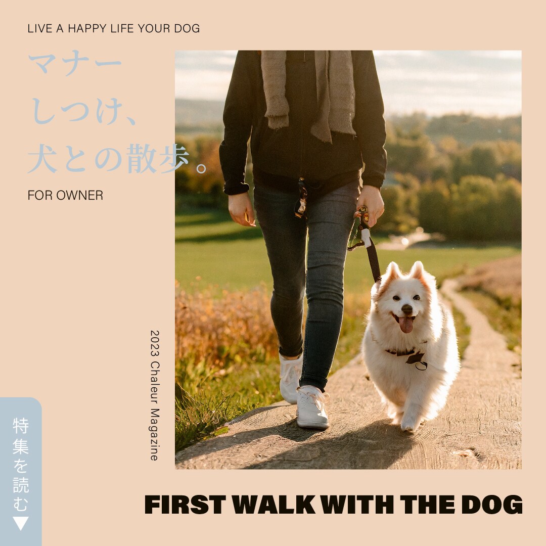 1500円〜｜女性向けバナー・ヘッダーをつくります ＊シンプルで優しい雰囲気のデザイン・修正無制限 イメージ7