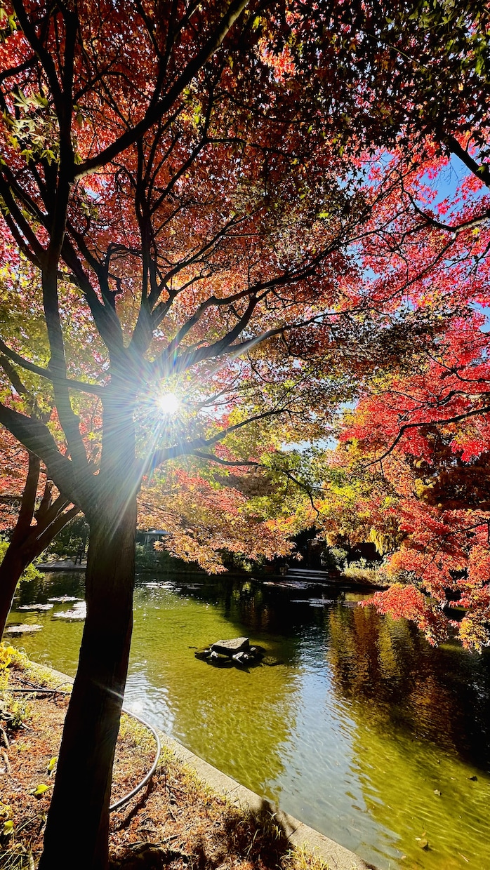 出張撮影！写真や動画を代わりに撮ります 出張撮影＆動画編集まで、この低価格でお任せください！ イメージ8
