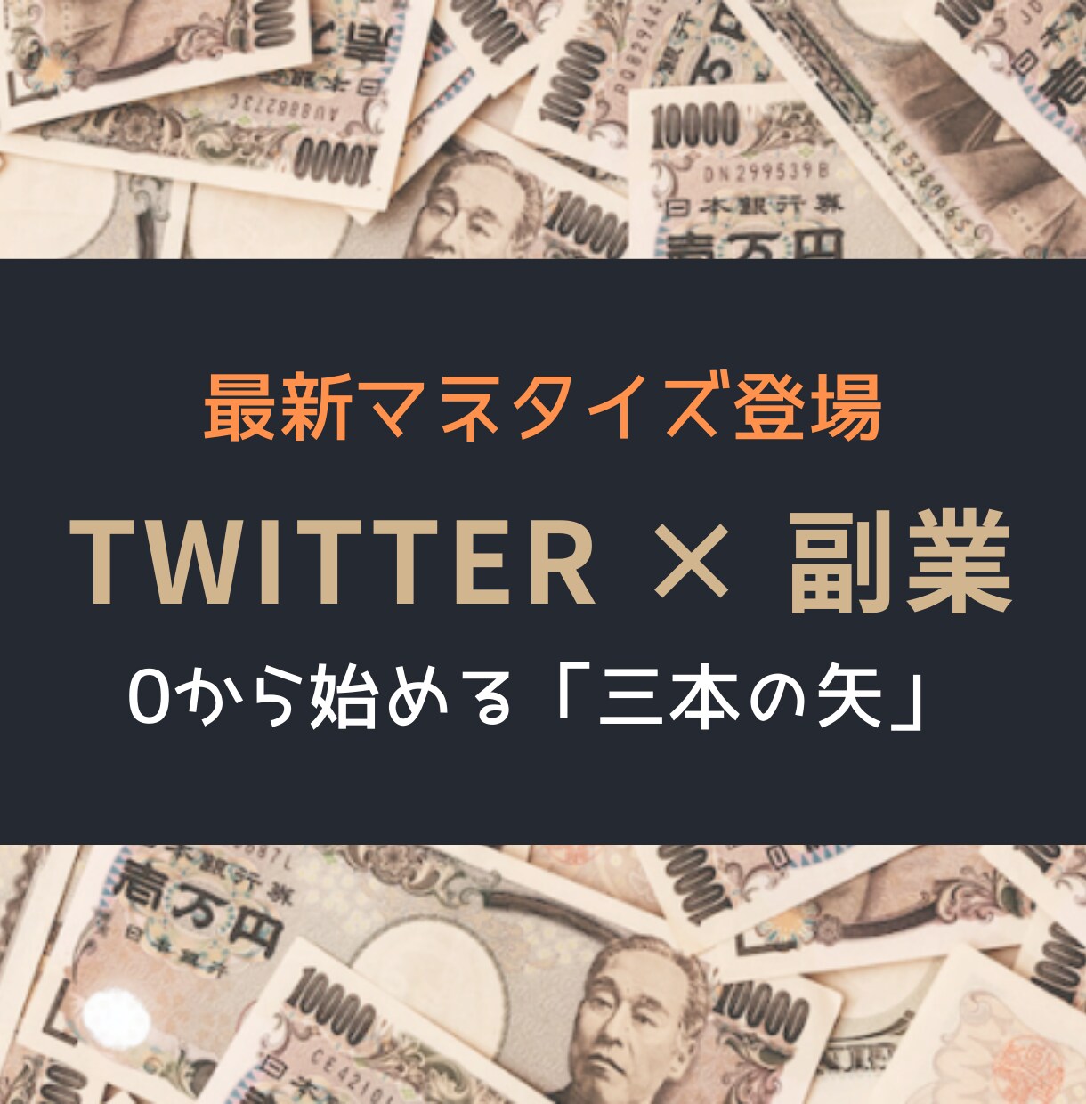 ツイッターを利用する約7割が知らない稼ぎ方教えます 時間のかかるもの、頭を使わないといけないものが苦手なあなたへ イメージ1