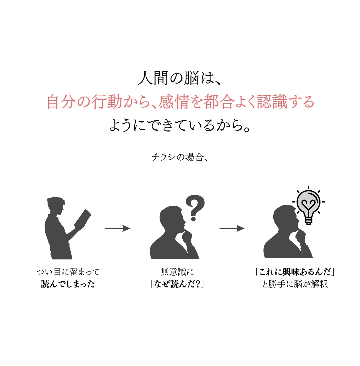 ついつい"取っておきたくなる"チラシを作ります 「さよなら、捨てられるチラシ。興味を誘う、本気チラシ。」 イメージ5