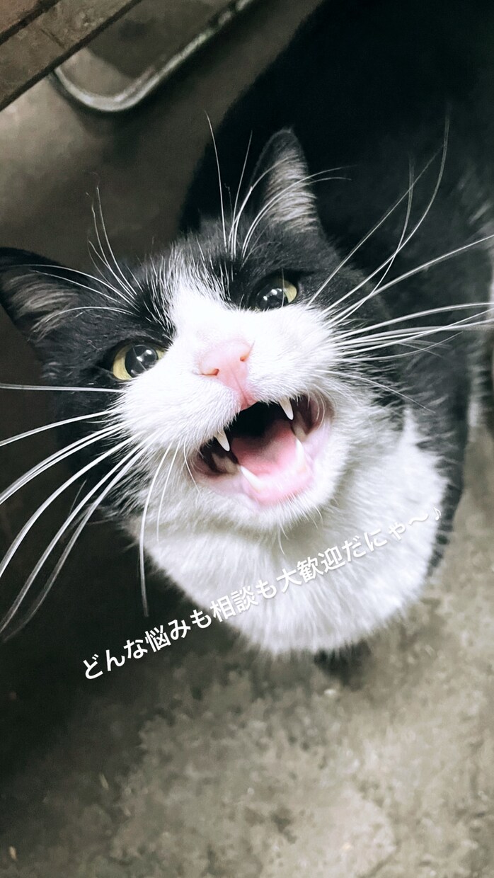 あなたのご相談、お悩み僕も一緒に考えます 秘密厳守！老若男女どなたでも！あなたの心の拠り所に！ イメージ1