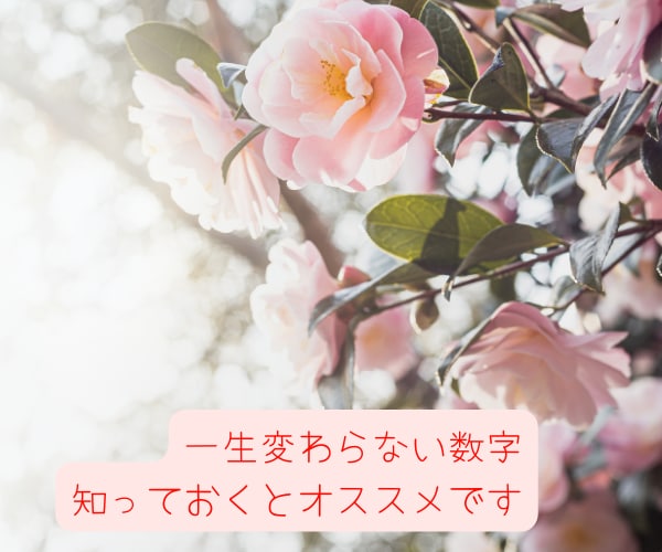 リピート様限定❤️もっと数秘術ご希望をお伺いします ❤️ご注意❤️DMよりご連絡ください。ご相談いたしましょうね イメージ6