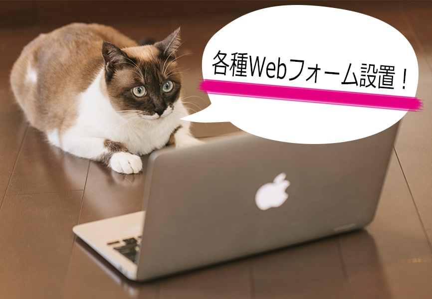 お問い合わせフォーム・注文フォーム設置いたします お問い合わせ・注文等、各種Webフォームを設置いたします イメージ1