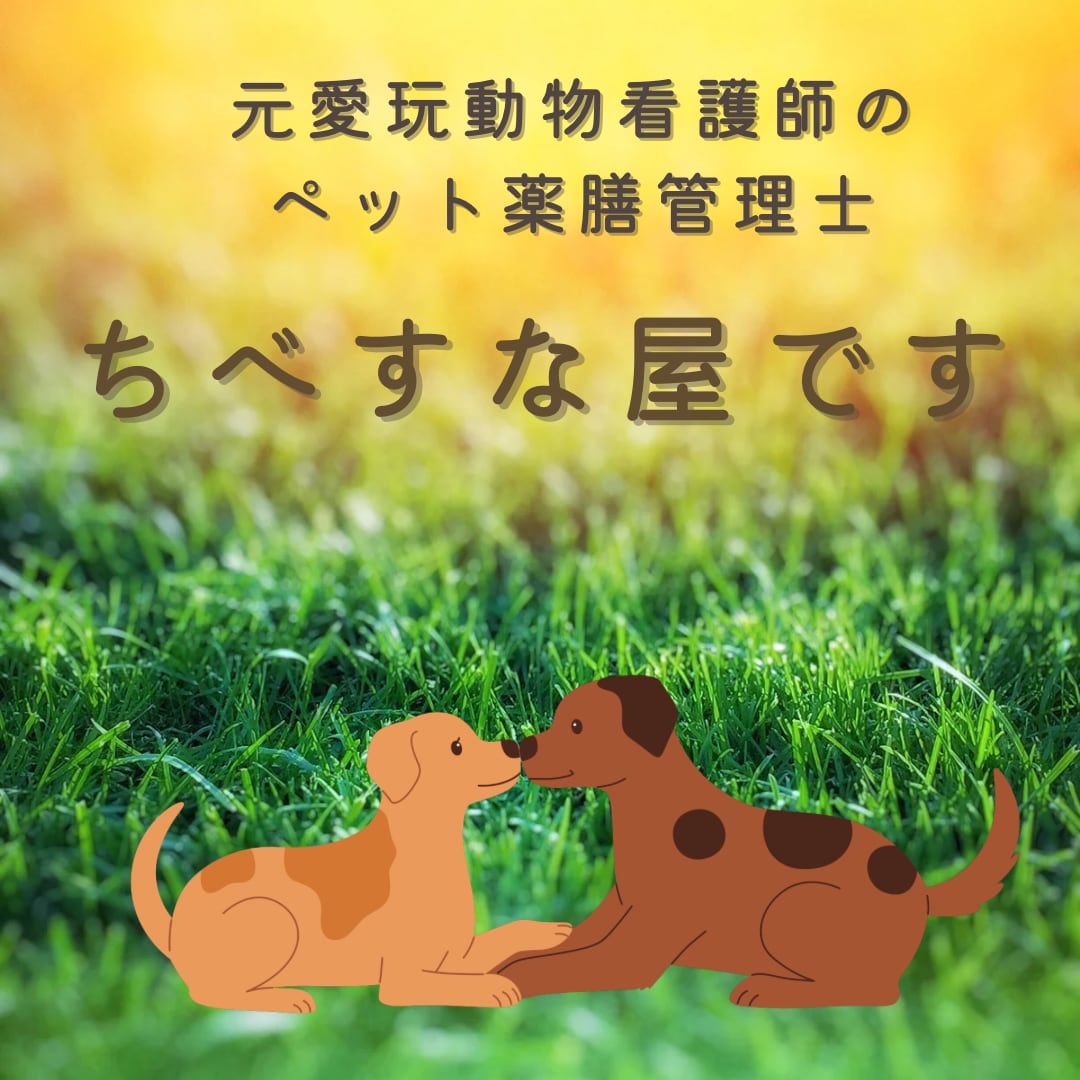 ペット薬膳管理士が相談に乗ります 犬猫さんの体質診断、食事相談、ただ悩み聞いて欲しい！も歓迎。 イメージ2
