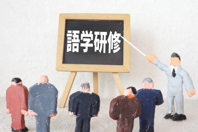 プロ留学カウンセラーが本音で率直にアドバイスします エージェントでそこまで教えてくれない？語学研修・ホームステイ イメージ1