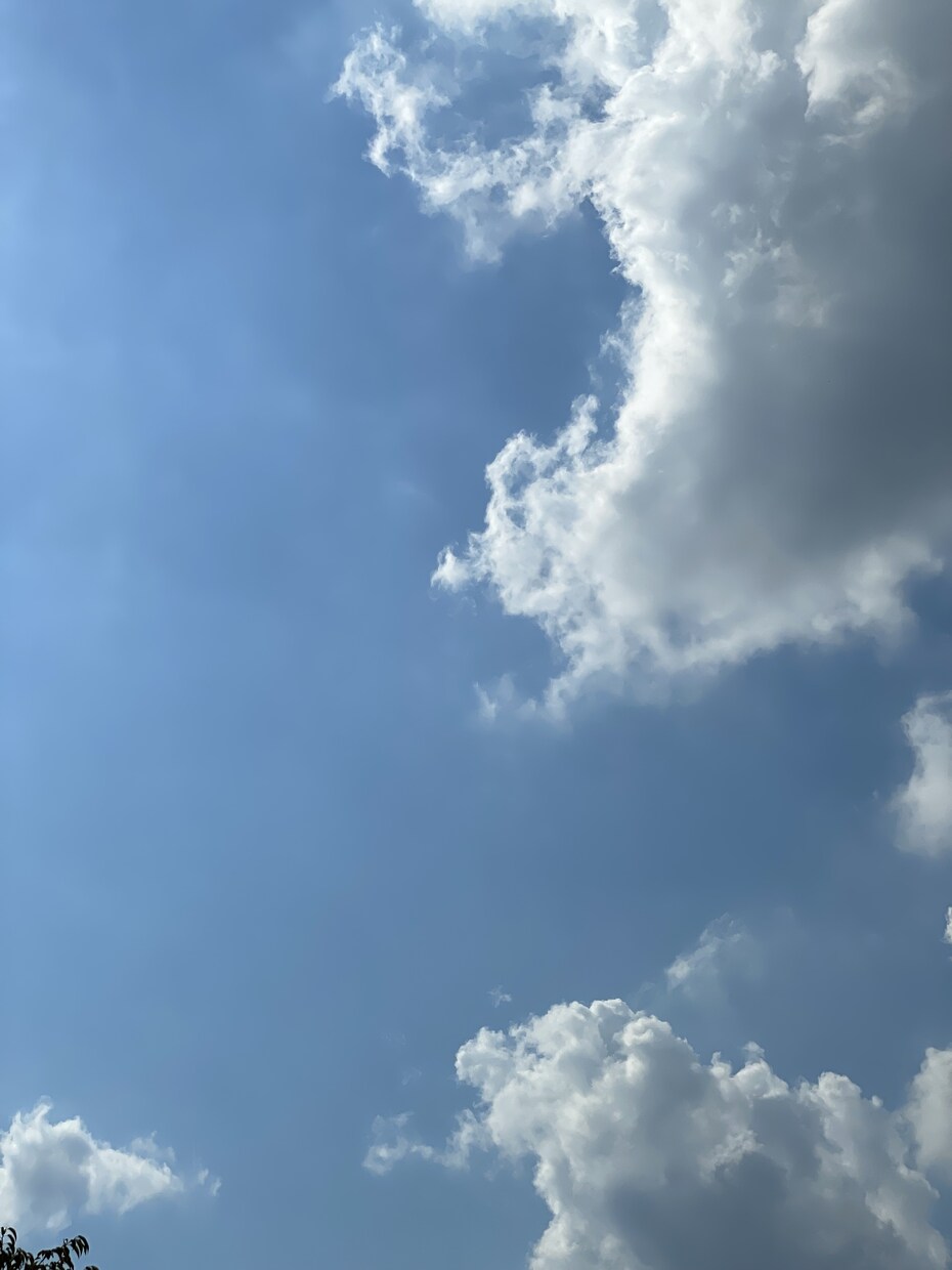 愚痴やお悩み、ご相談など何でもお聞きします 回数制限なしで、あなたのお話お聞き致します! イメージ2