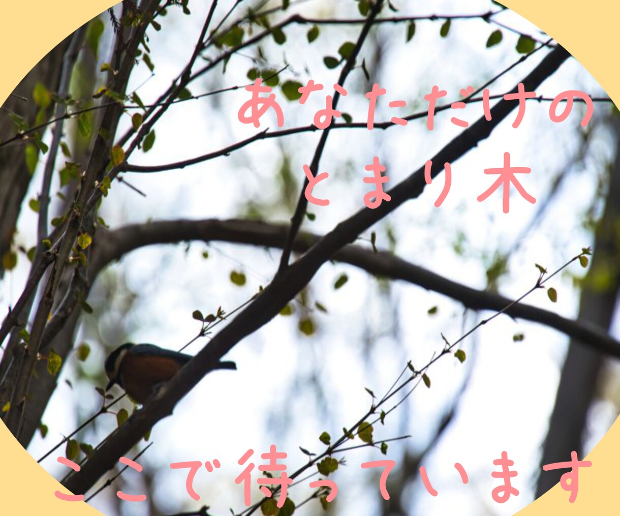 お悩みから雑談まで/あなたのお気持ちに寄り添います 電話が苦手な方/好きな時に話せるから落ち着いてお話できます イメージ7
