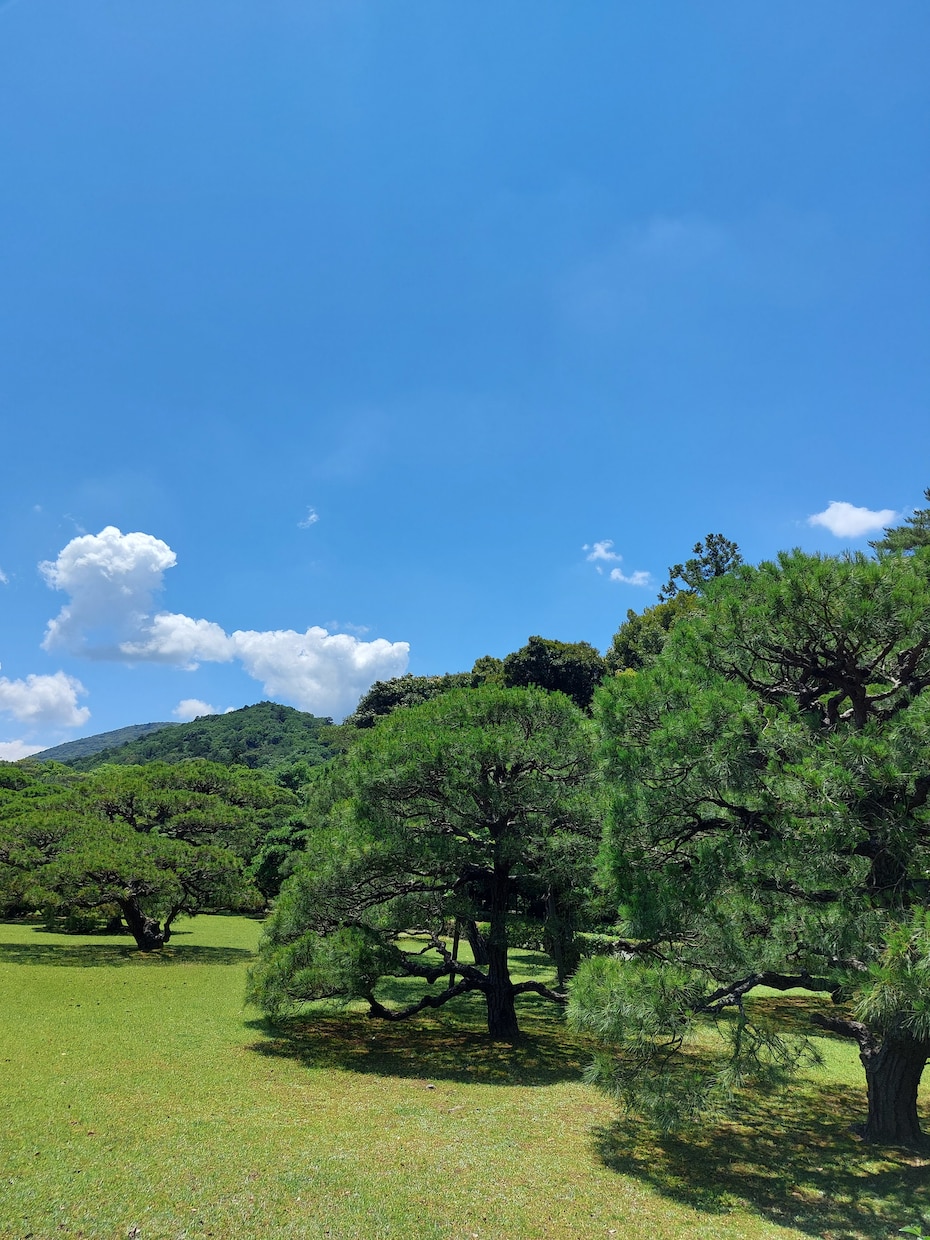三貴神からのメッセージを届け、願いをお祈りします 三貴神とは、天照大御神様、月読命様、須佐之男命様です。 イメージ2