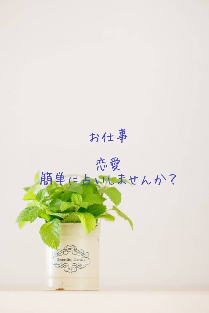 タロットで恋愛・お仕事の現状を占います しっかりと、現状を視ていきませんか？？ イメージ1